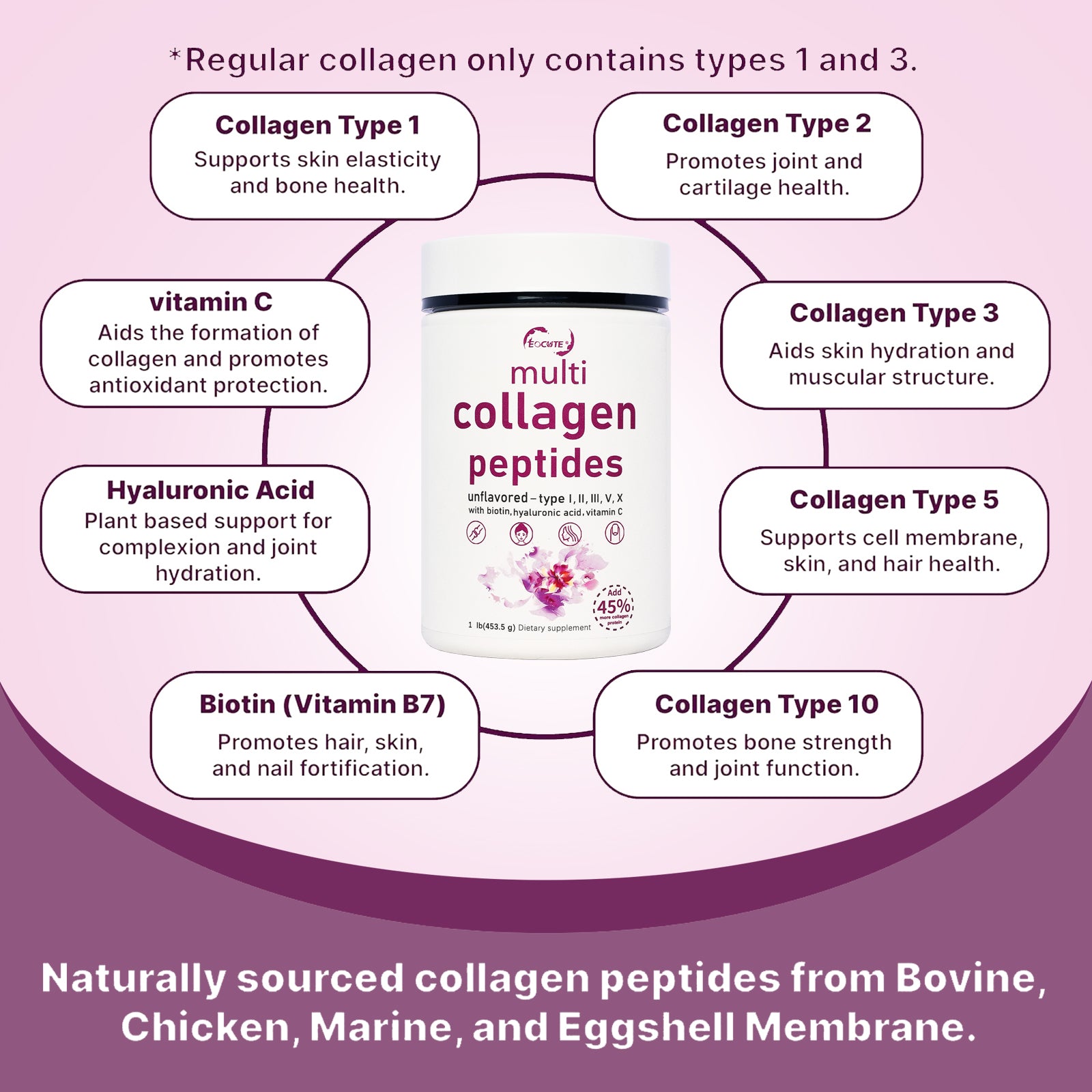 EOCUTE Multi Collagen Peptides Powder Pasture-Raised-Hydrolyzed Protein Peptides (Type l,l,lll,V,X)with HyaluronicAcid, Biotin   Vitamin C,1LB