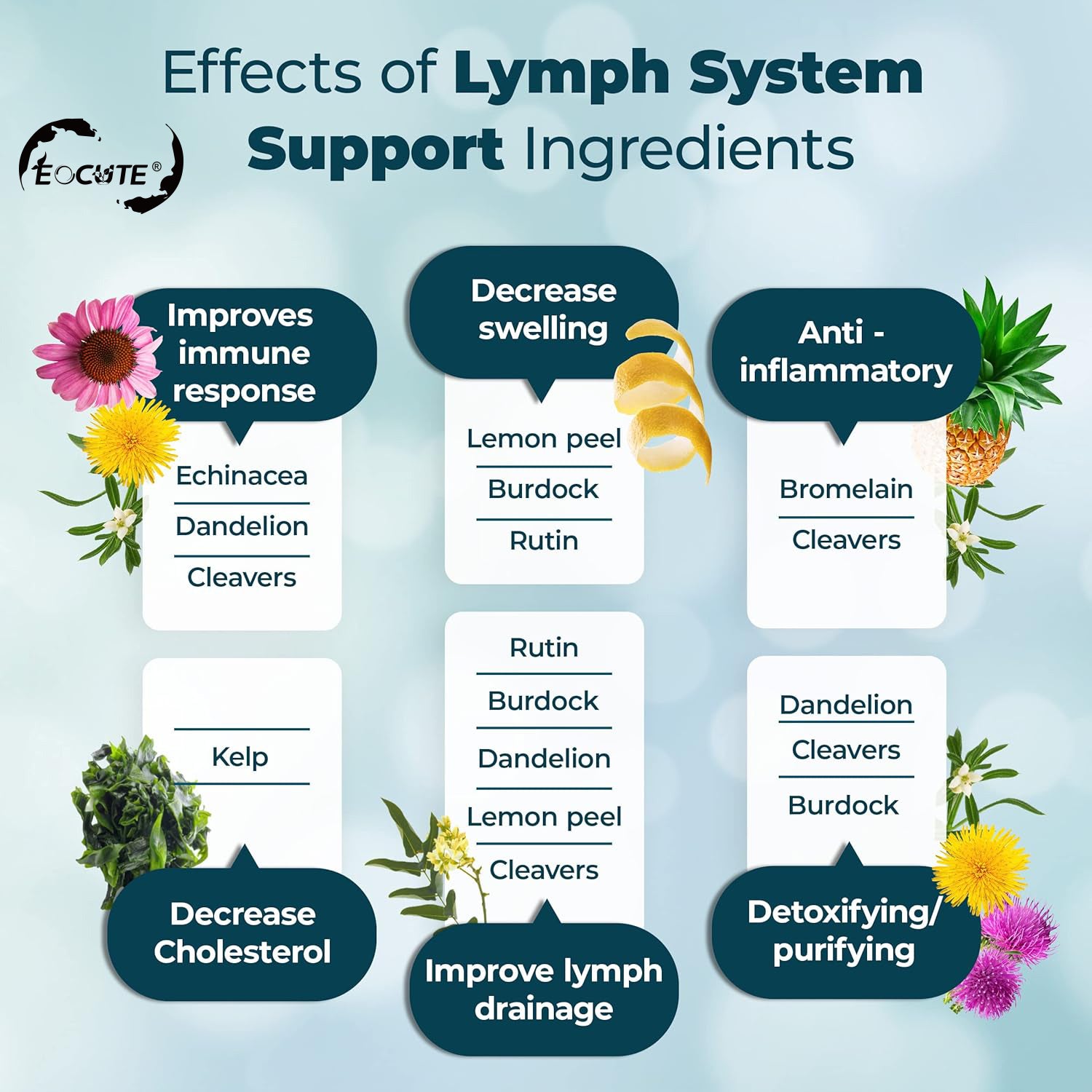 EOCUTE Lymph System Support Supplement   Lymphatic Drainage Supplement with Dandelion Extract, Cleavers, Burdock Powder   Reduce Swelling and Cleanse Lymph Hair/Skin/Nails Supplements Edible Fitness Dietary Healthcare Beauty Optimum