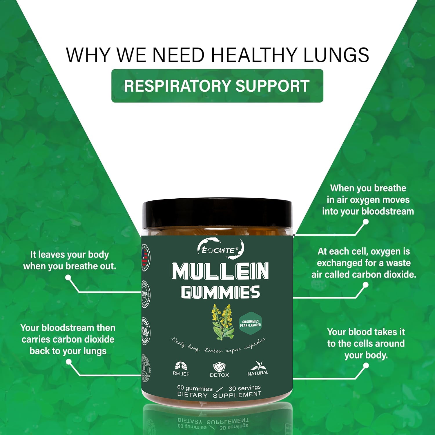 EOCUTE 9 in 1 Mullein Gummies for Lung Cleanse, Extra Strength 10000 MG(10:1 Extract) Mullein Leaf Extract w/Quercetin, Bromelain, Elderberry   Marshmallow for Respiratory, Immune, Vegan,60 Count Vitamins Supplements Edible Dietary Healthcare Fitness