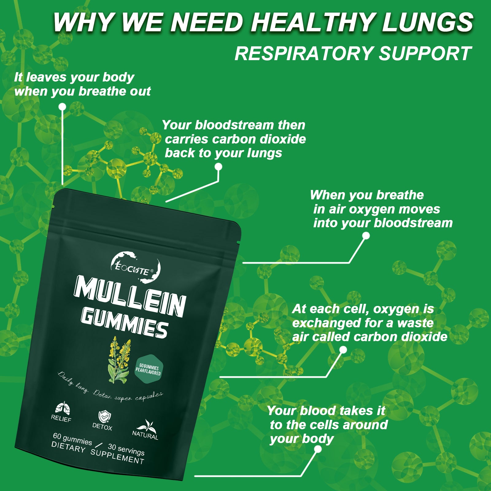 EOCUTE 9 in 1 Mullein Gummies for Lung Cleanse, Extra Strength 10000 MG(10:1 Extract) Mullein Leaf Extract w/Quercetin, Bromelain, Elderberry   Marshmallow for Respiratory, Immune, Vegan,60 Count Vitamins Supplements Edible Dietary Healthcare Fitness